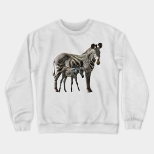 Grevy Zebra Mama with Baby in Kenya / Africa Crewneck Sweatshirt